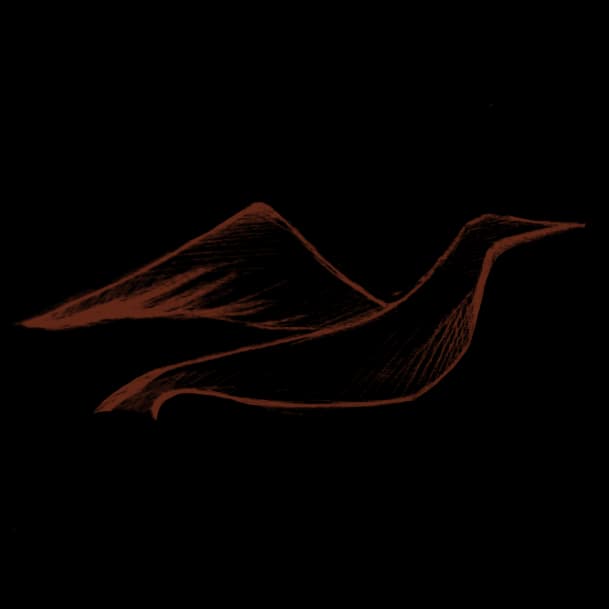 Fateme Mirzaie bird signature